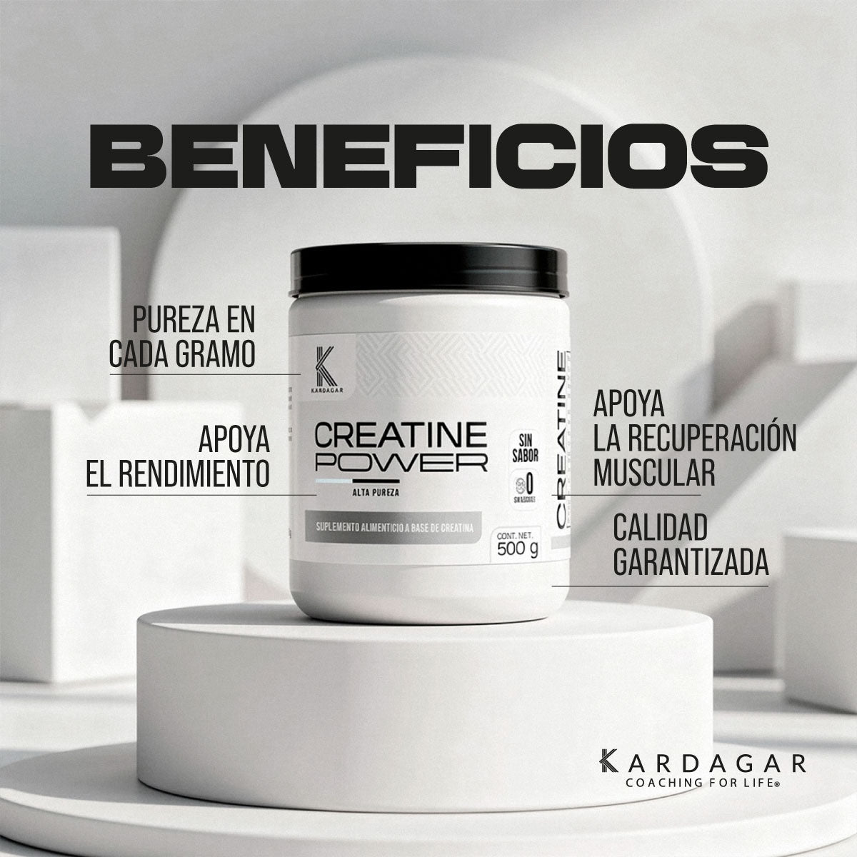 CREATINE POWER ALTA PUREZA