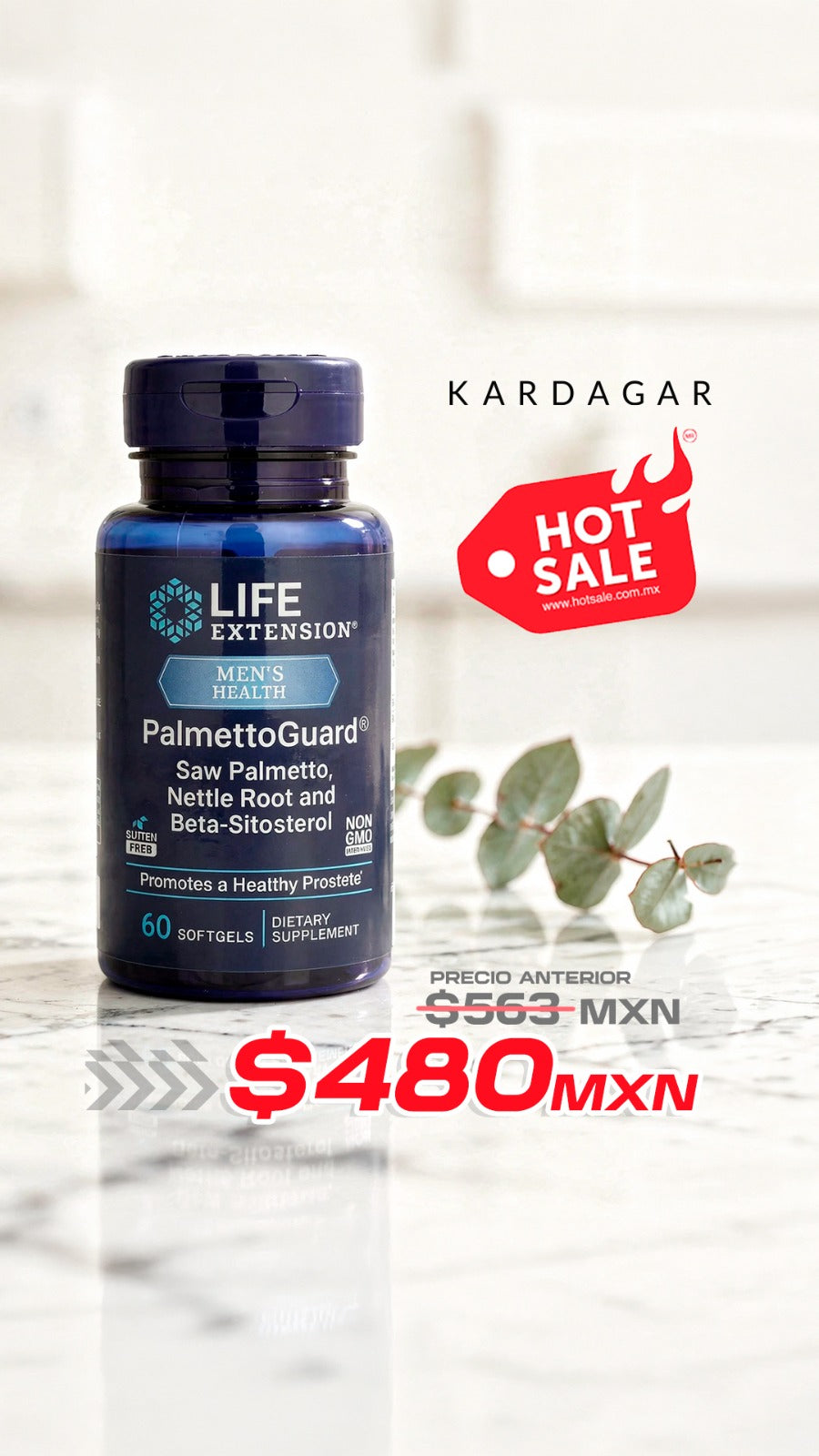 PALMETTOGUARD®