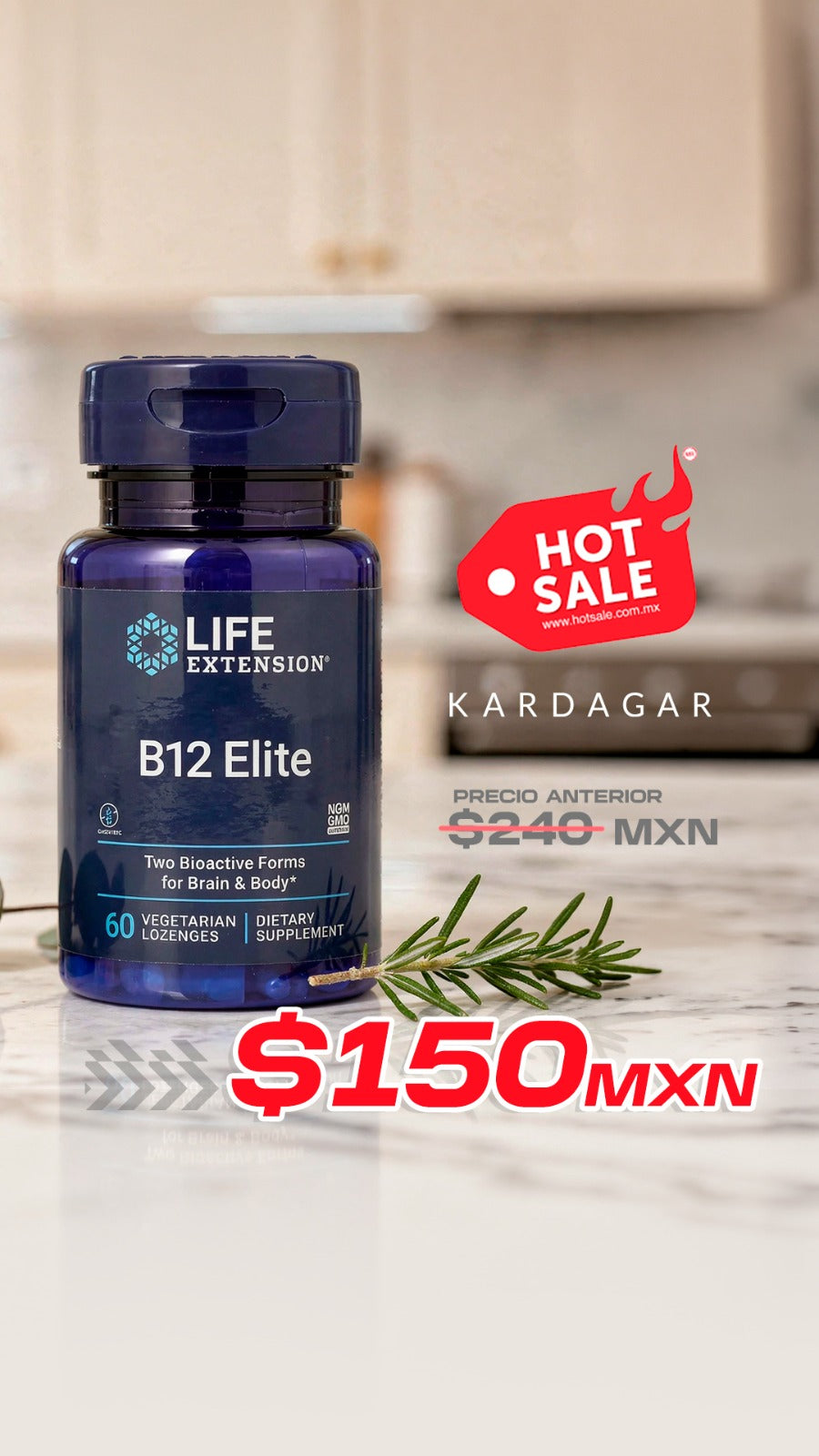 B12 ELITE