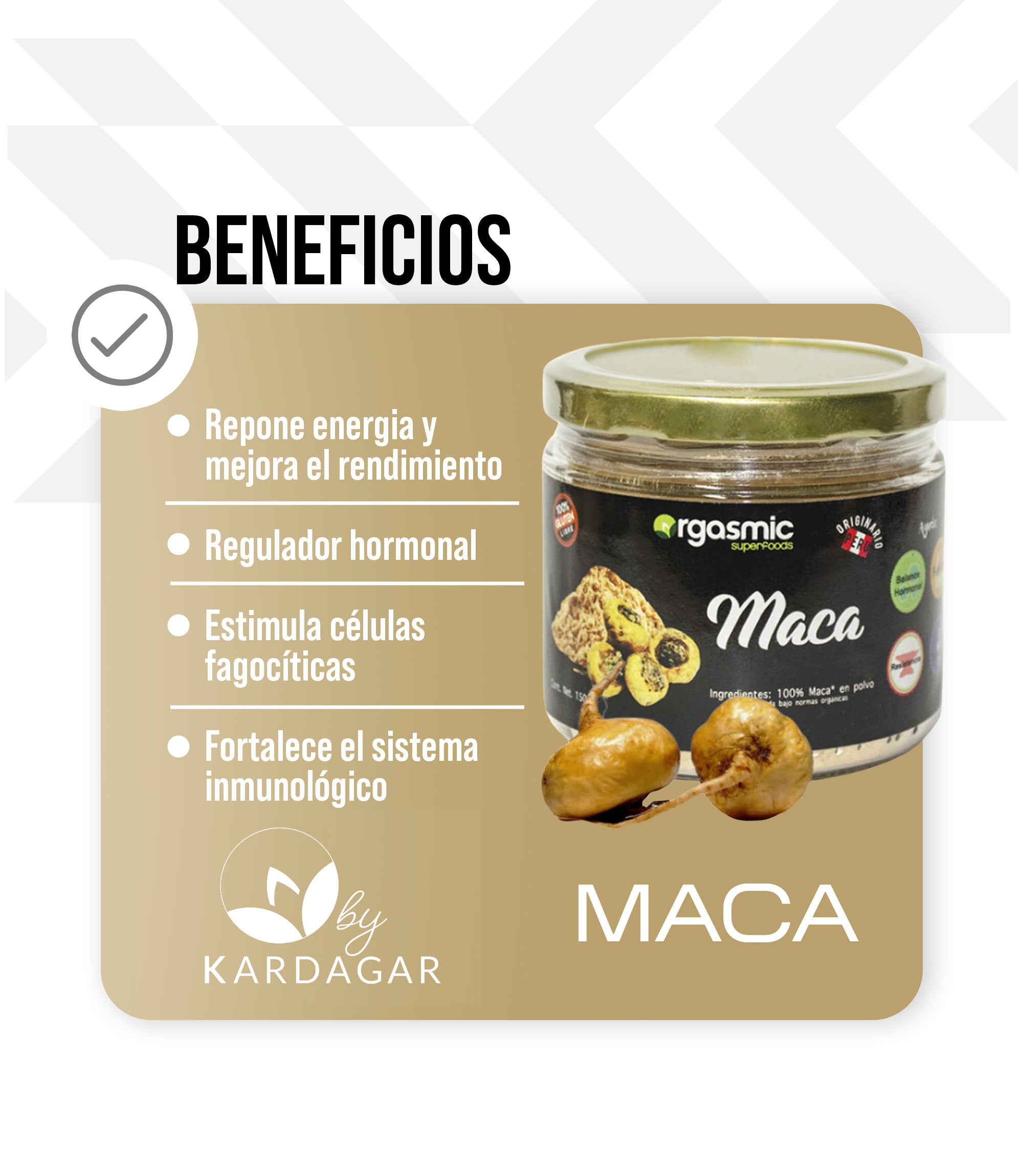 MACA