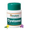 Cystone