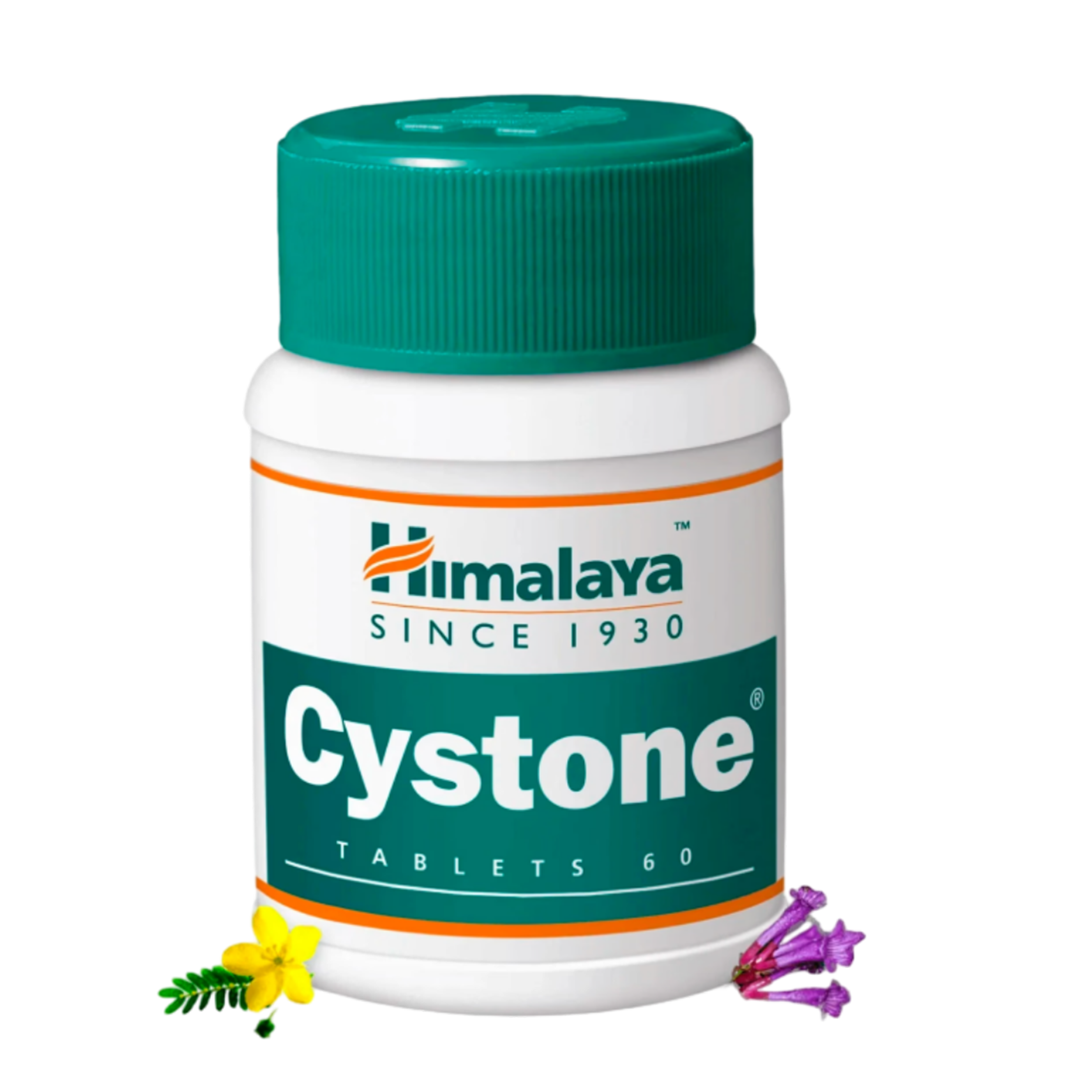 Cystone