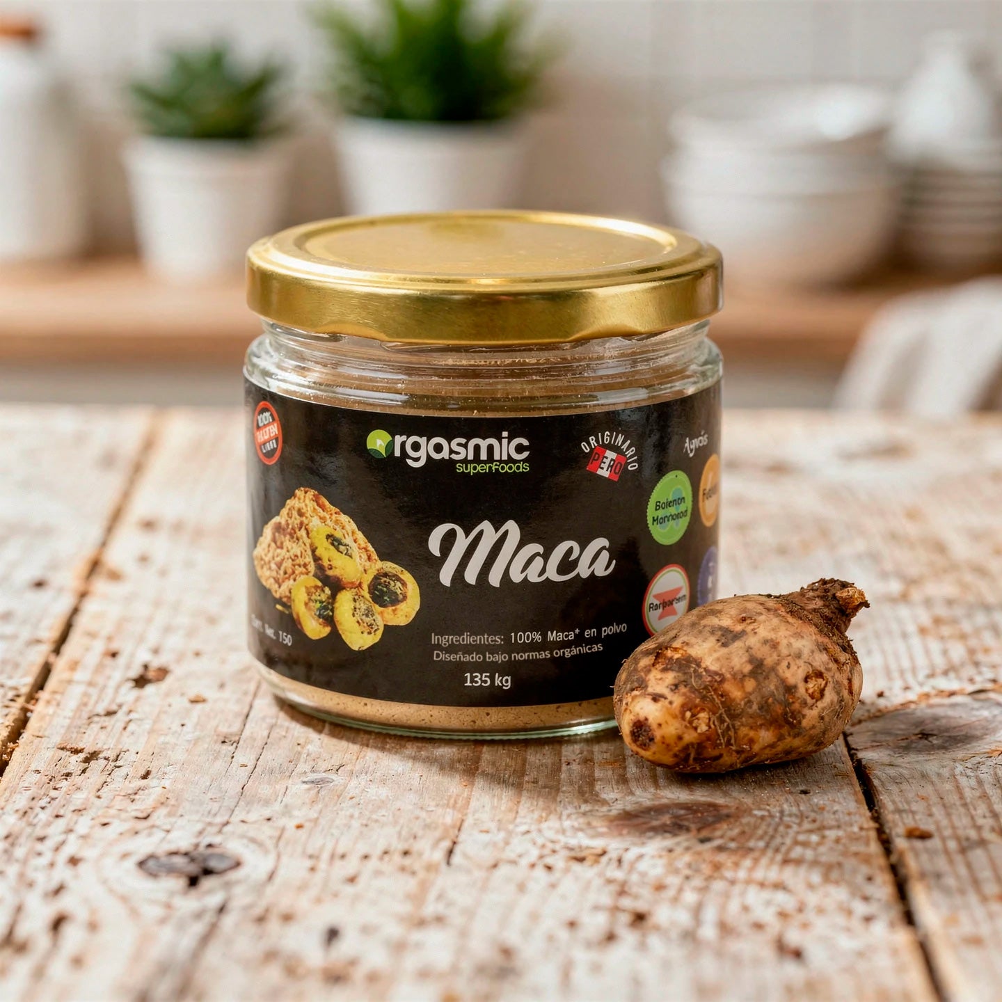 MACA
